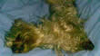 29.12.2009