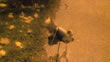 26.10.2010