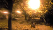 26.10.2010